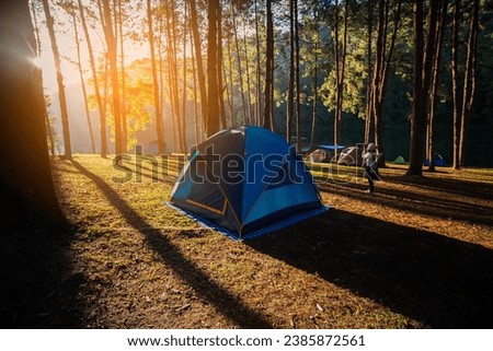 Camping and tent under the pine forest in sunset at Pang-ung, pine forest park , Mae Hong Son, North of Thailand