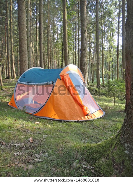 Camping tent in wild german\
forest 