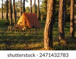 Camping tent with wooden chairs surrounded by pine trees at sunset