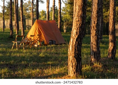 Camping tent with wooden chairs surrounded by pine trees at sunset - Powered by Shutterstock