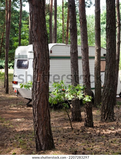 Camping trailers in the coniferous forest.
Camping season.