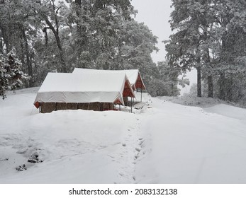 Camping In The Woods During A Snow Fall. Mountains, Hill Camping