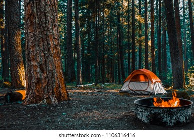 Camping In The The Woods Of Shenandoah Mountain With A Bonfire