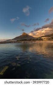 Camps Bay Lions head