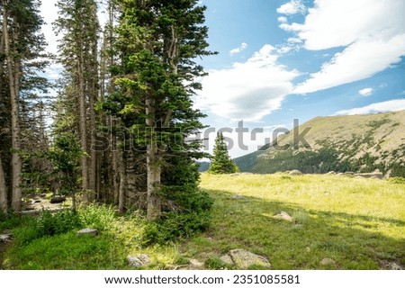 Campsite In Open Meadow of The Stormy Peaks Trail in Rocky Mountain National Park