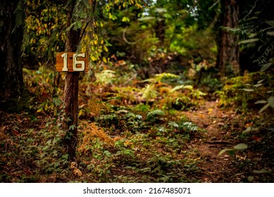 Campsite Signs For British Columbia Campground In The West Coast Rain Forest