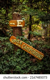 Campsite Signs For British Columbia Campground In The West Coast Rain Forest