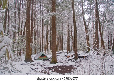 Campsite In A In The Smoky Mountains After A Spring Snow