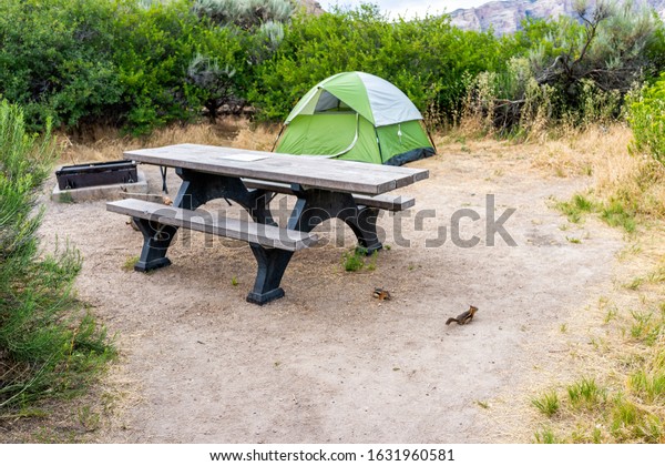 Campsite with tent and picnic table with grill\
on Green River Camground in Dinosaur National Monument Park with\
ground squirrels