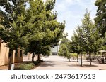 Campus of University of California Davis, UC Davis on a sunny day, no people. A public land-grant research university in Davis, Northern California, United States