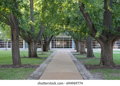 Campus Of Washington University In St. Louis Missouri