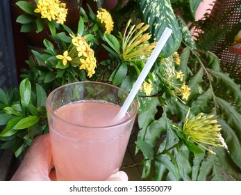 Camu-camu juice (Myrciaria dubia) is rich in vitamin C and is good for your health. Amazon, Brazil 