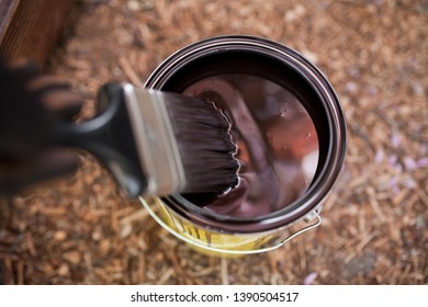 Can Of Dark Brown Wood Stain And Paint Brush For Backyard DIY Project.