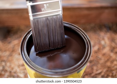 Can Of Dark Brown Wood Stain With Paint Brush For Backyard DIY Project.