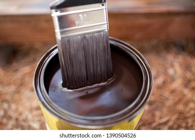 Can Of Dark Brown Wood Stain And Dipped In Paint Brush For Backyard DIY Project.