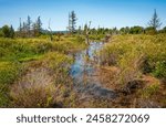 Canaan Valley National Wildlife Refuge, Wildlife refuge in West Virginia, USA