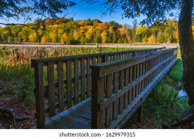 Canaan Valley State Park, WV