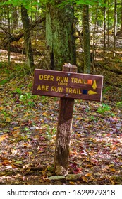 Canaan Valley State Park, WV