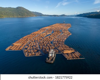 Canada, British Columbia, Campbell River, Aerial View Of Tugboat Pushing Boom Of Freshly Cut Logs Toward Seymour Narrows Along Vancouver Island On Summer Evening