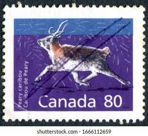 CANADA - CIRCA 1990: A Stamp Printed In Canada, Depicts The Peary Caribou (Rangifer Tarandus Pearyi), Circa 1990