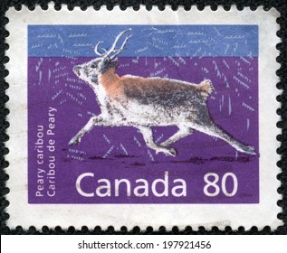 CANADA - CIRCA 1990: A Stamp Printed In The Canada Shows Peary Caribou, Rangifer Tarandus Pearyi, Animal, Circa 1990