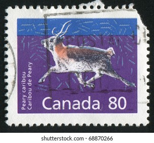 CANADA - CIRCA 1990: Stamp Printed By Canada, Shows Peary Caribou, Circa 1990