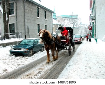 Canada, Québec, Québec City, Horse And Buggy, During Winter Carnival, Febrauary 7, 2004