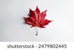 Canada day 1st july, Celebrate happy Canada day on 1st July. maple leafs, Canadian flag background.
