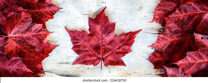 A Canada Flag Made From Real Red Maple Leafs On A Birch Bark Background In A Banner Orientation.  Designed To Scale To Fit Facebook Banner Dimensions. 