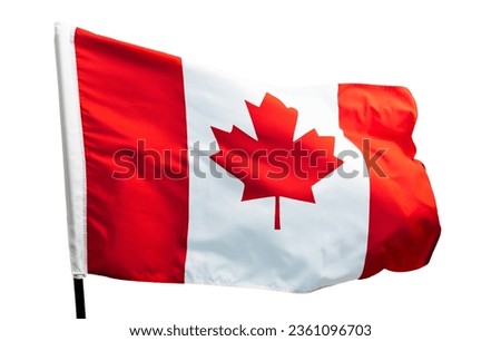 Canada flag waving against white sky background
