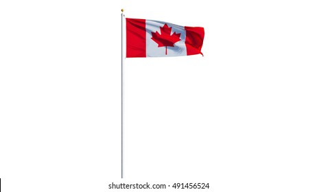 Canada flag waving on white background, long shot, isolated with clipping path mask alpha channel transparency