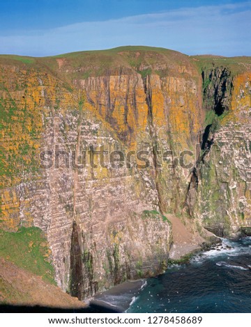 Canada, Newfoundland, Cape Saint Mary's Ecological Reserve, Seabirds breed in large numbers on steep, lichen colored cliffs.