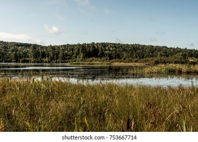 Canada Ontario Lake Of Two Rivers - Natural Wild Landscape Near The Water In Algonquin National Park