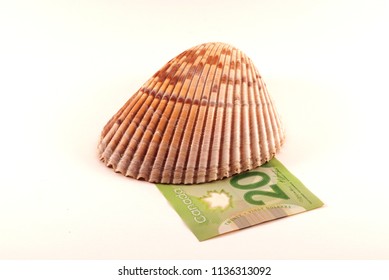 Canadian 20 Dollar Bill Under A Seashell