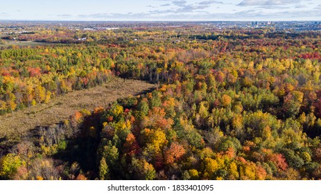 Canadian autumn, aerial view of Laval city in Quebec - Shutterstock ID 1833401095