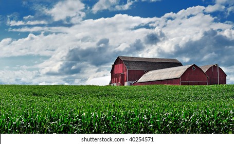 Canadian Corn Farm