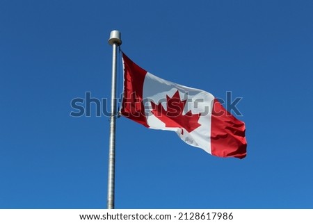 Canadian Flag flying in the wind outdoors on a sunny summers. Clear blue sky background with no clouds. Low angle shot of flag of Canada with clear blue background