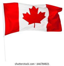 Canadian Flag Isolated On White Stock Photo 646784821 | Shutterstock