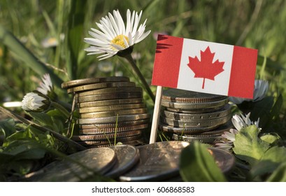 Canadian flag with stack of money coins with grass and flowers