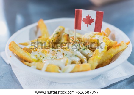 Canadian french fries and cheese on top.