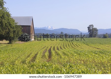 A Canadian homestead on the West Coast/A Canadian homestead/Rural agricultural land on a typical Canadian farm.