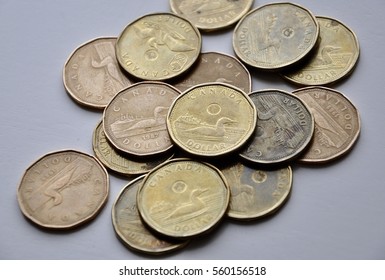 Canadian loonies in the table