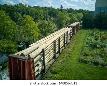 Canadian Lumber Logs Being Transported By Freight Train