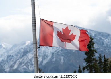 Canadian Maple Leaf Flag Seen Flying Half Mast On A Flag Pole In Northern Canada During Fall, Autumn Season With Stunning Snow Capped Mountains In Background.	
