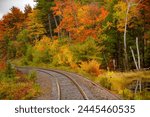 The Canadian national railway rails winding through autumn color forests in Alberta