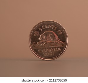 Canadian Nickel 2001 With A Copper Penny Look