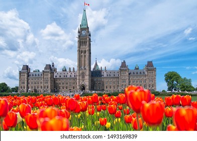 Canadian Parliament Building at Ottawa with full bloom red and yellow tulips in front