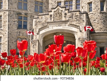 The Canadian Parliament Confederation Building with flags on Wellington Street in Ottawa during Spring with red tulips.