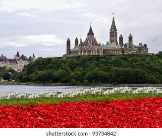 The Canadian Parliament with red and white flowers across the river in Gatineau at 8 O'clock.