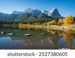 Canadian Rockies Autumn scenery in Quarry Lake, Canmore, Alberta, Canada. Yellow leaves forest, majestic mountains and blue sky reflected on the water.